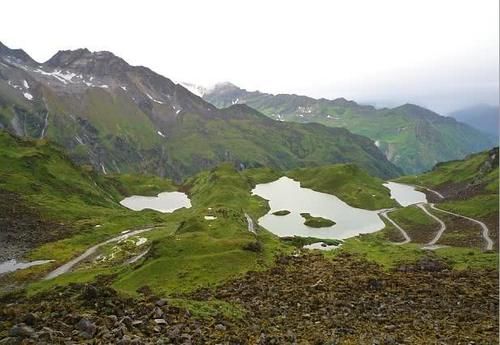 川藏线上遇见“白菜”，为什么不能摘？现在知道还不晚！快来看看