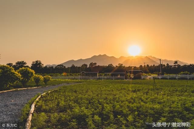 潜龙神彩 福彩3D210期:组三遗漏3期,最大跨9解