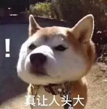 「迷人」在线等:保时捷、法拉利、兰博基尼都停产了,我该买什么车好?