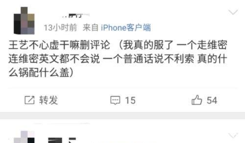 王艺回应插足传闻,自己跟他根本就不是很熟,有些人居心叵测