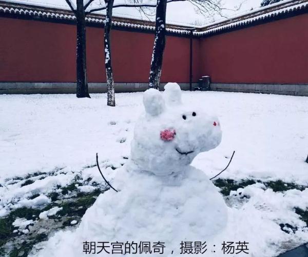 雪后的南京真美！