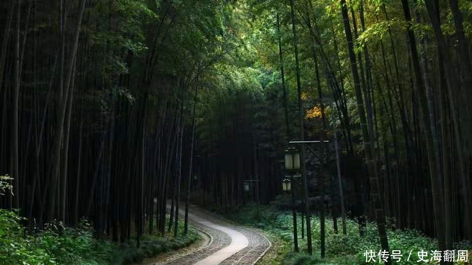 西湖最美的竹林,距西湖仅12公里,位列新西湖十景之一!