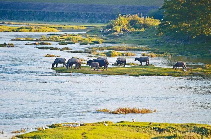 省委书记车俊为松阳问诊把脉、加油鼓劲 松阳干部群众反响热烈