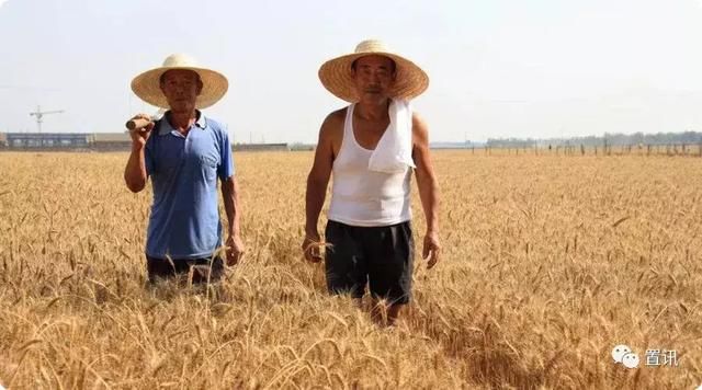 “农业地产”会取代房地产成为下一个暴利行业吗?