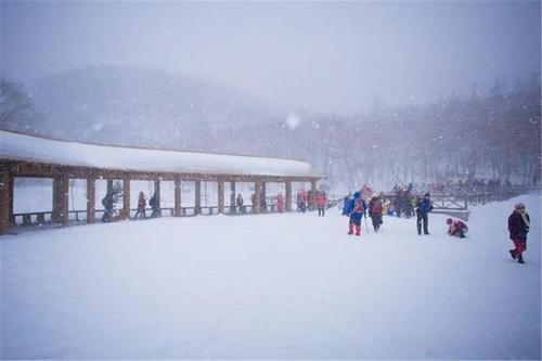 黑龙江这列火车，车厢中随处可见的雪花，乘客连厕所都不敢上！