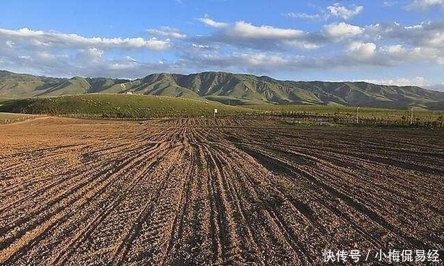  种植■“一户一田”真的来了，最新政策：农民可互换并地，发展