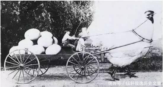  【饥荒】美国才是“浮夸风”的鼻祖，超出你想象的照片，带来的