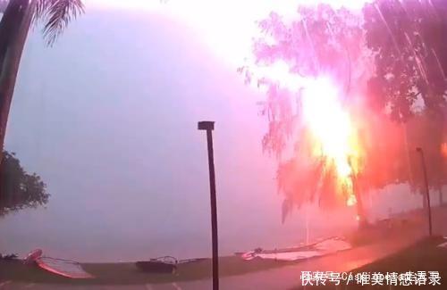 外国游客不解为何故宫一棵树都不栽听导游解释完，老外不吭气