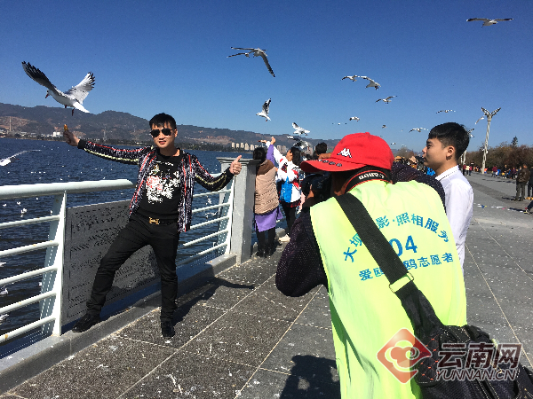 昆明海埂大坝拍照点所拍人鸥合影"造假"? 回应:根据游客意愿"P