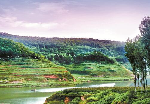 青山绿水间 白鹭舞翩翩