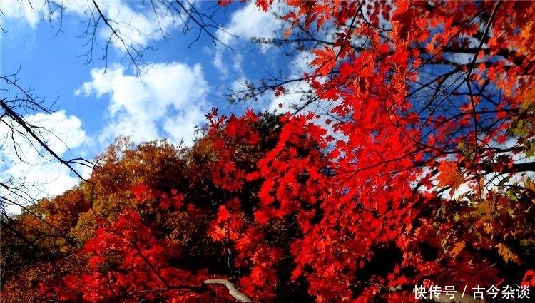 金秋9月，最适合和你的她出行的6个地方，中国最美的秋天都在这里