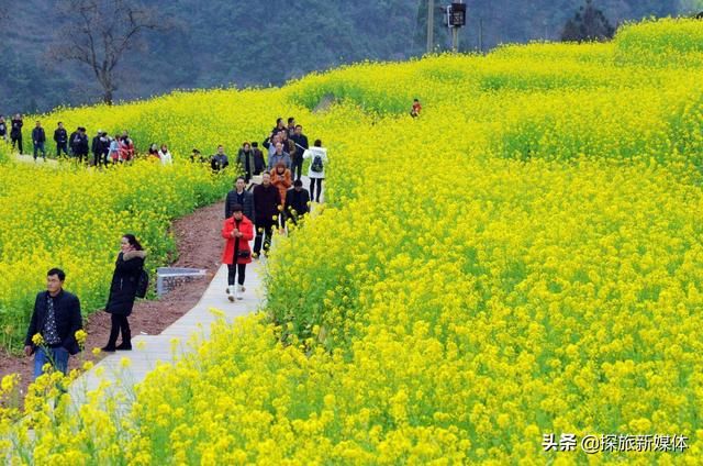 全国各省居民收入排名，上海北京浙江排名前三，贵州甘肃西藏垫底