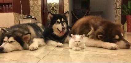 电影圈骗局起底:不好看就退票是最大的谎言