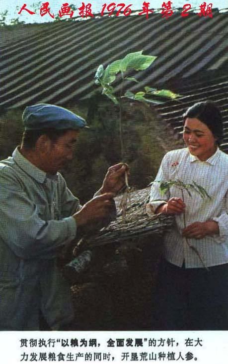毛泽东时代《人民画报》，社会主义的建设者身影