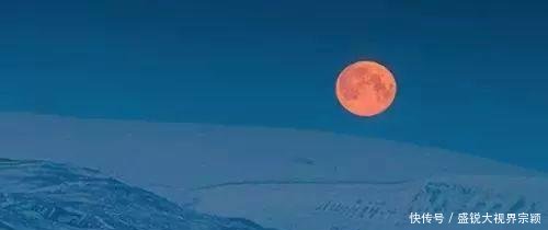 北极圈的神秘岛群，一个死亡违法，禁止生育的“纯净”之地