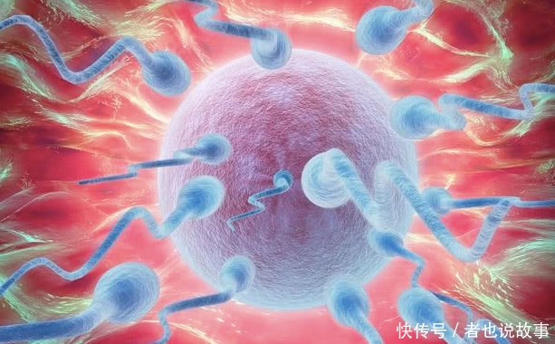 你还在相信吃什么东西或者喝什么会杀精？快来看一下真相吧