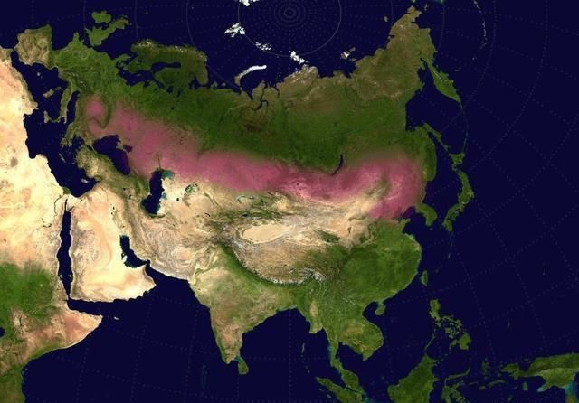  【发现】新疆发现3000年前的祭祀遗址，揭示出独目人，他们的文