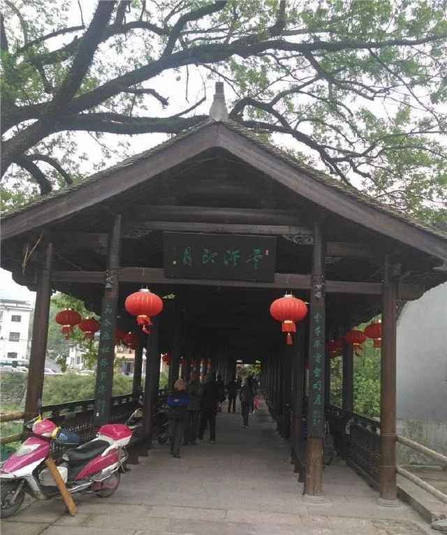 人间凡处有仙境,江南水乡中的小清新,四明山之心-中村【2020热门旅游景点】