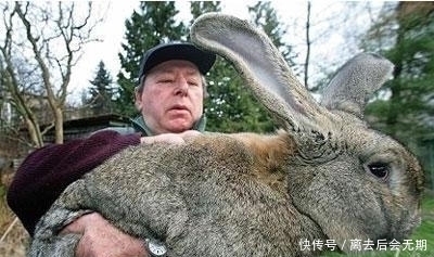 10张看起来像被PS过的图片,你有没有发现它们是真实的画面