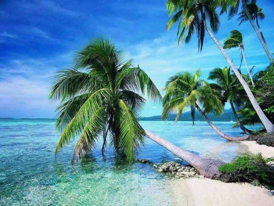 只要沾上她的名字就会爆火，说她是当今第一Diva应该没有人反对吧