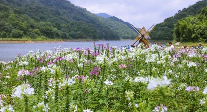 风景尽在云深处，驾RAV4荣放游石门国家森林公园