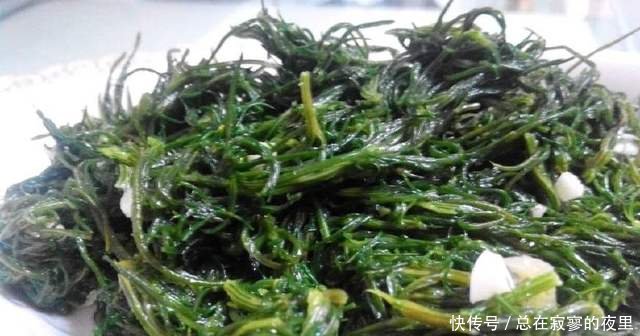农村降血压的野草，以前农民拿来喂猪，如今50元一斤成稀罕物