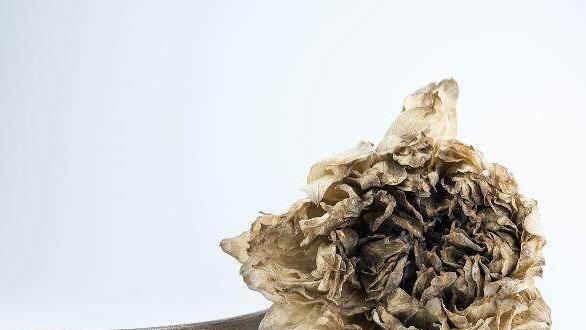  减肥药■原创 天然的“减肥药”，用它泡水喝，吸脂刮油又排毒！