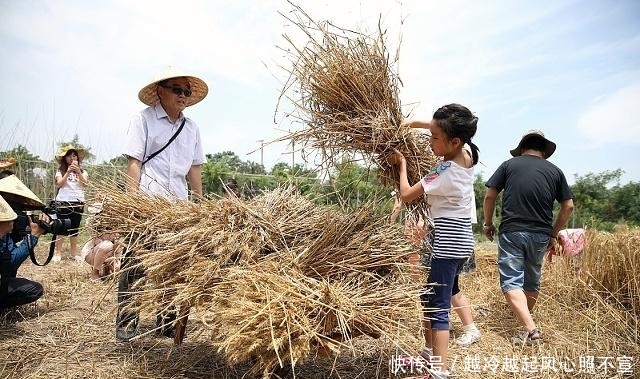  电费■你叫我拿什么去种地？不打工连电费都交不起，更别说子女