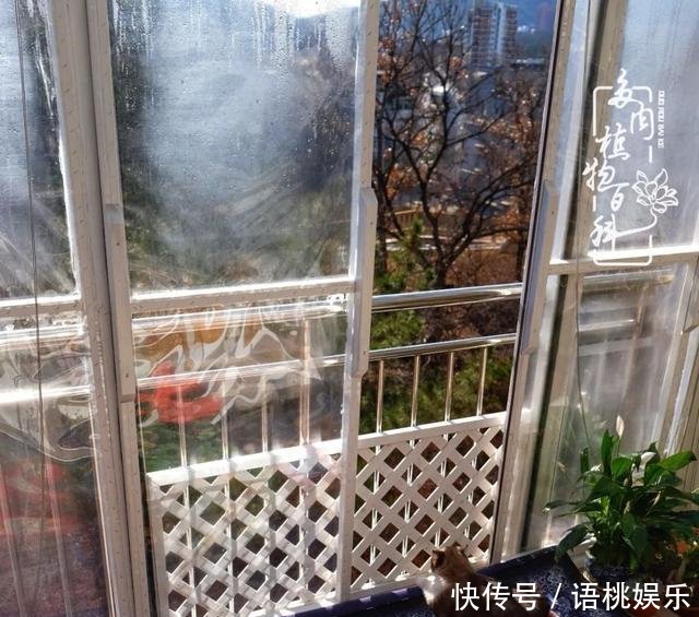  #喜欢#一粥一饭填饱肚子，一屋一花神仙日子！生命不止，玩趣不停！