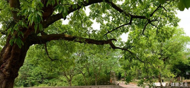  「火炉」“四大火炉”重新排名，武汉长沙退出名单，重庆依旧榜