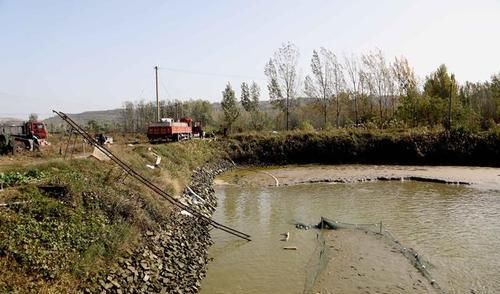 「夜晚」黄河边家家养大鲤鱼，喂“中药”饲料，夜晚2小时巡塘一
