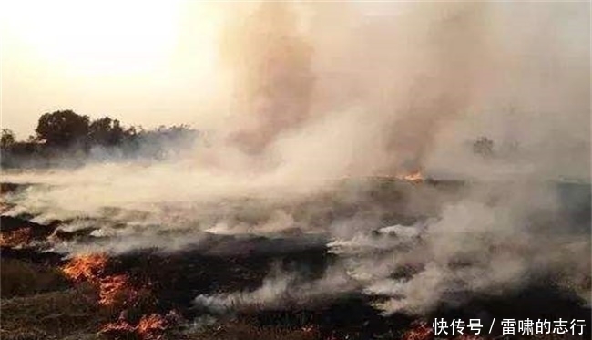  「督查」农村环保政策新变化：一种禁令叫停一刀切，四种行为将