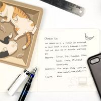 迅速提升幸福感的12个国产文具品牌，颜值和功能不分上下!