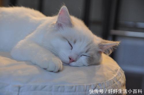  家里：18水龄：宅在家里太无聊？别浪费了美白护肤黄金时间