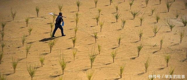  #一起走#全球沙漠最多的国家，正在悄悄的消灭沙漠