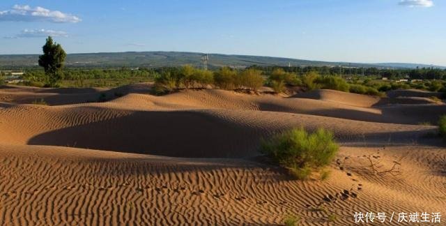 中国最成功的沙漠改造工程，600万亩沙地变绿洲，黄河“轻松”了