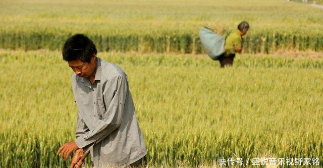  「整顿」下半年，农村土地迎整顿，3类人或被将失去土地，但愿没