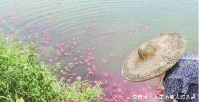 种蒜的农民都活该大蒜每亩至少赔1000元，你知道吗