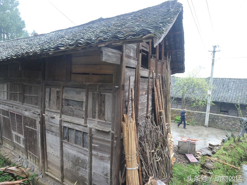 中国黔南农村面临消亡的老房子 很多具有文物