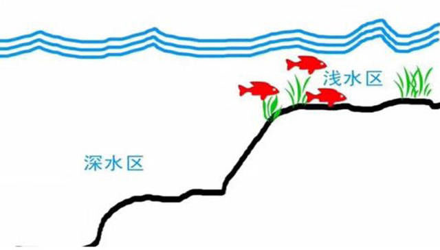  『屁股』为什么老钓手常说“屁股决定渔获”附图说明