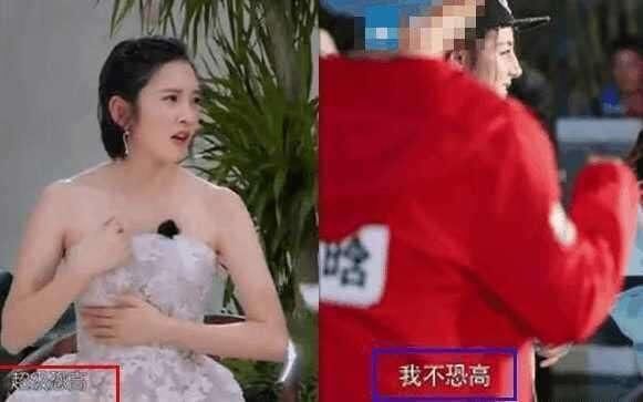 戳穿明星曾经说过的谎，有图有真相