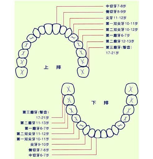 什么序齿成语_成语故事图片