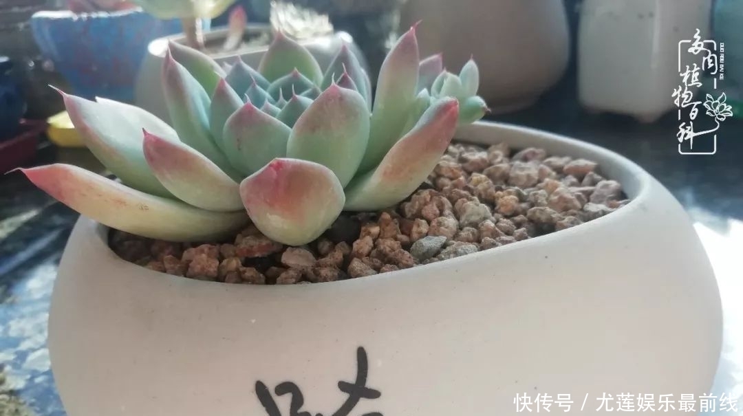  『那种』我爱的，就是你的存在！只要努力该来的都在路上！