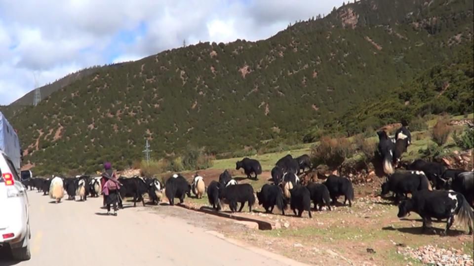 带着年迈父母去西藏，单车自驾奇骏，川进青出，13天7000公里~