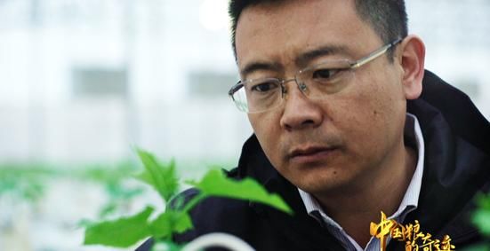  温室|全世界每3条养殖的鱼，就有2条来自中国!