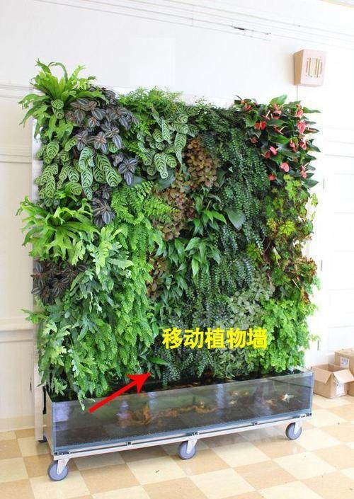  『屏风』大过年的家里还不改造一下？老妈做个移动植物墙摆家里，亲戚看了都羡慕