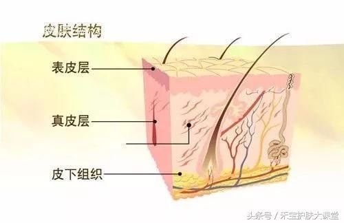 辟谣｜这些网传的明星护肤方法，真的可信么？