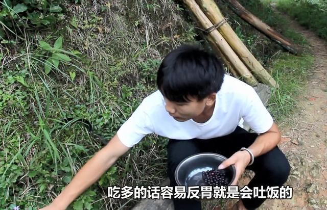 农村小哥山里摘这种黑黑的野果，农村娃基本都吃过，你认识吗？