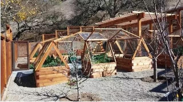  自由：现在有个菜园才是人生赢家，450㎡可食用花园，实现你的吃货自由