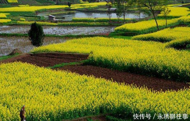 四川正在修建一条投资总额441亿元的铁路, 预计2020年建成通车